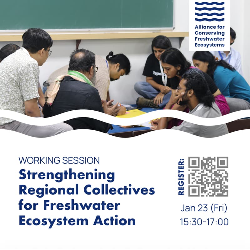 Cover Image for Strengthening Regional Collectives for Freshwater Ecosystem Action