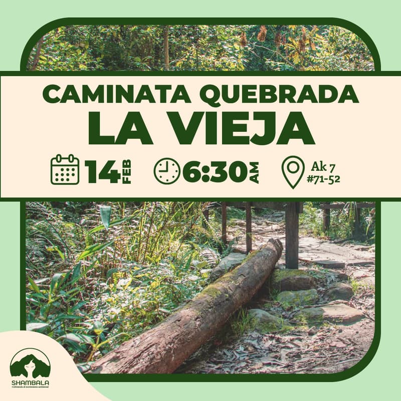Cover Image for Caminata Quebrada la Vieja