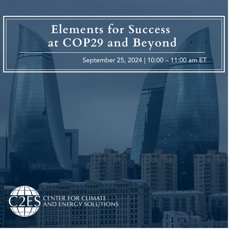 Cover Image for Elements for Success at COP29 and Beyond