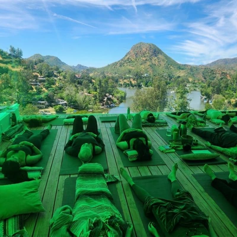 Cover Image for The Soft Reset: A Somatic Release