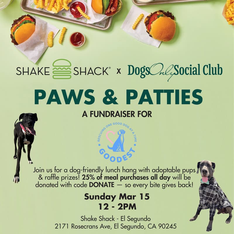 Cover Image for Paws & Patties