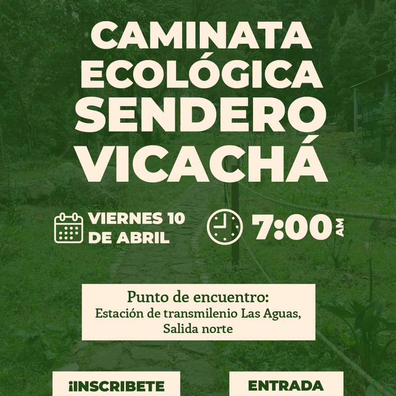 Cover Image for Caminata Ecológica - Sendero Vicachá
