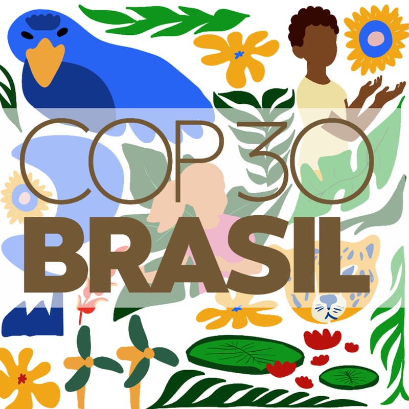 Cover Image for COP30 Health Day