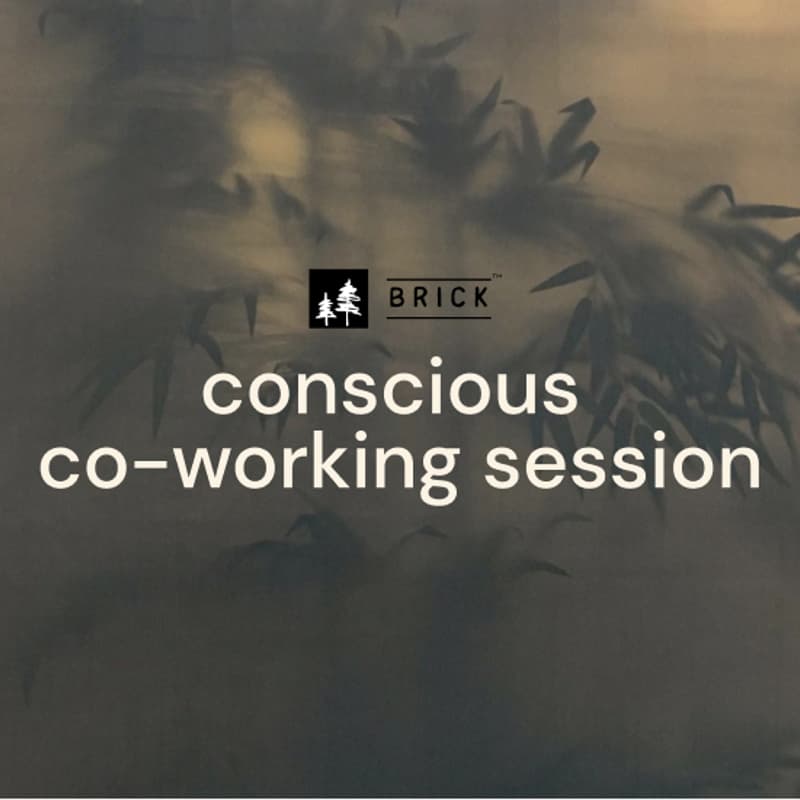 Cover Image for conscious co-working session w/ Tommy Sobel