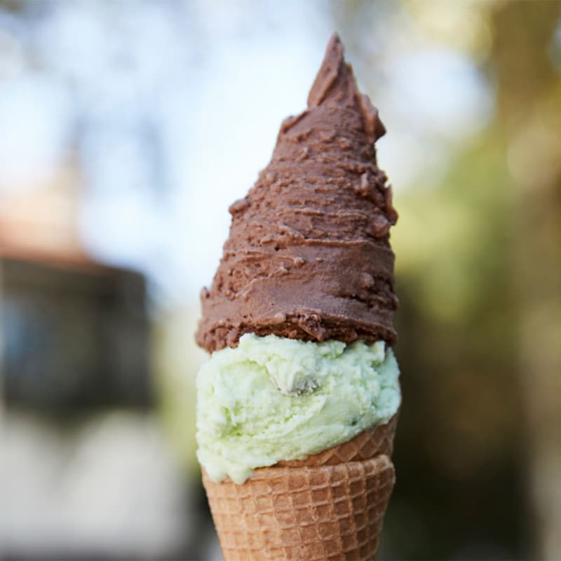 Cover Image for StableCone Meetup #20
