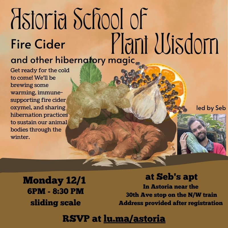 Cover Image for Fire Cider and other Hibernatory Magic
