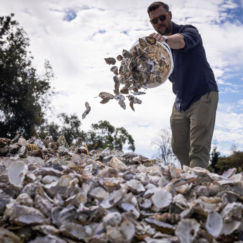 Cover Image for Shell Move & Pen Building Volunteer Work Day (AM & PM shifts available)