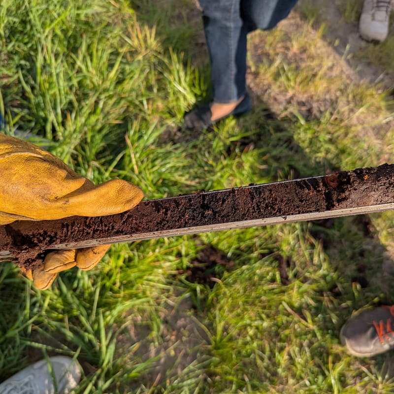 Cover Image for All Things Peatlands Lunch
