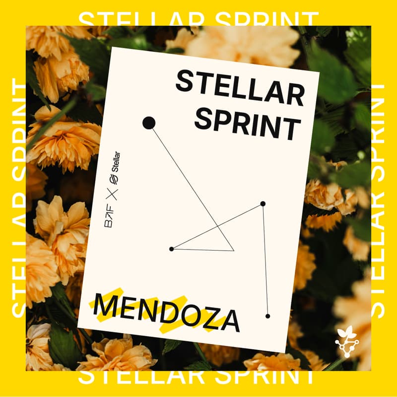 Cover Image for Stellar Sprint