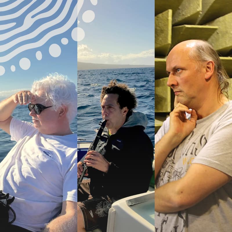 Cover Image for Whalesound 3: Whales Surround Us (Concert Version)