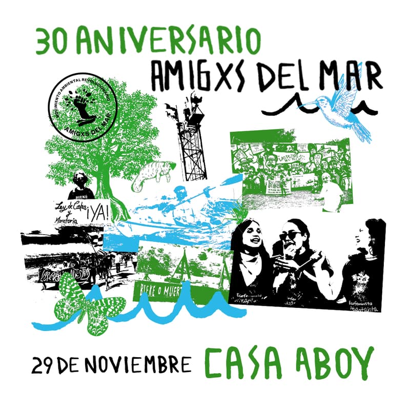 Cover Image for 30 Aniversario de Amigxs del MAR