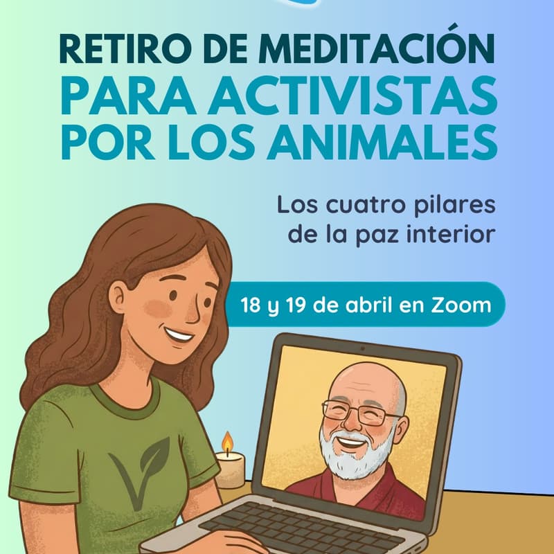 Cover Image for Retiro de meditación para activistas por los animales: Los cuatro pilares de la paz interior