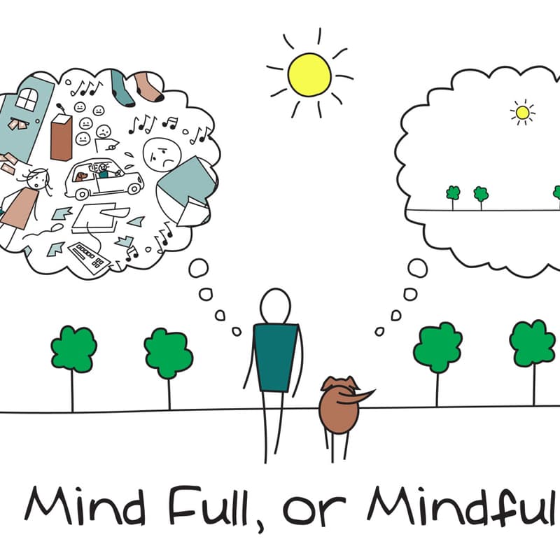 Cover Image for Family Mindfulness Tuesday @ Cocoplum Nature School