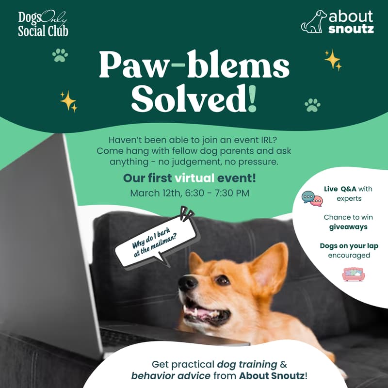 Cover Image for Paw-blems Solved