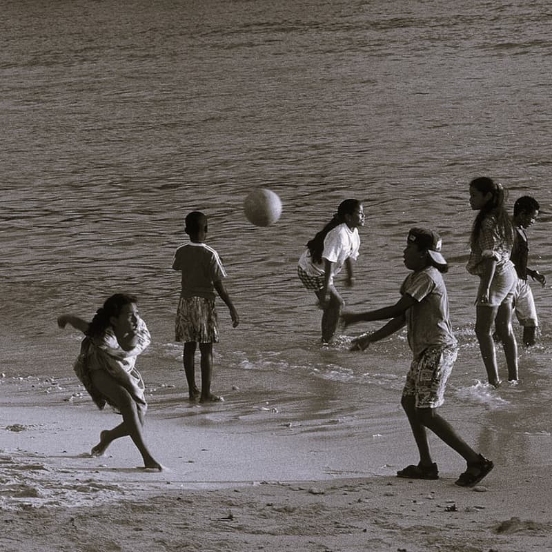 Cover Image for TFM Juhu Picnic
