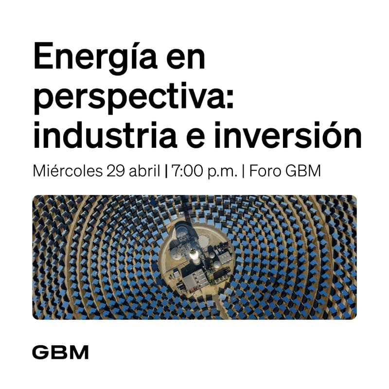 Cover Image for Energía en perspectiva: industria e inversión