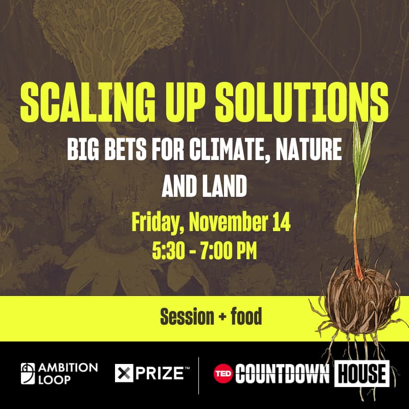 Cover Image for Scaling up solutions: Big bets for climate, nature and land