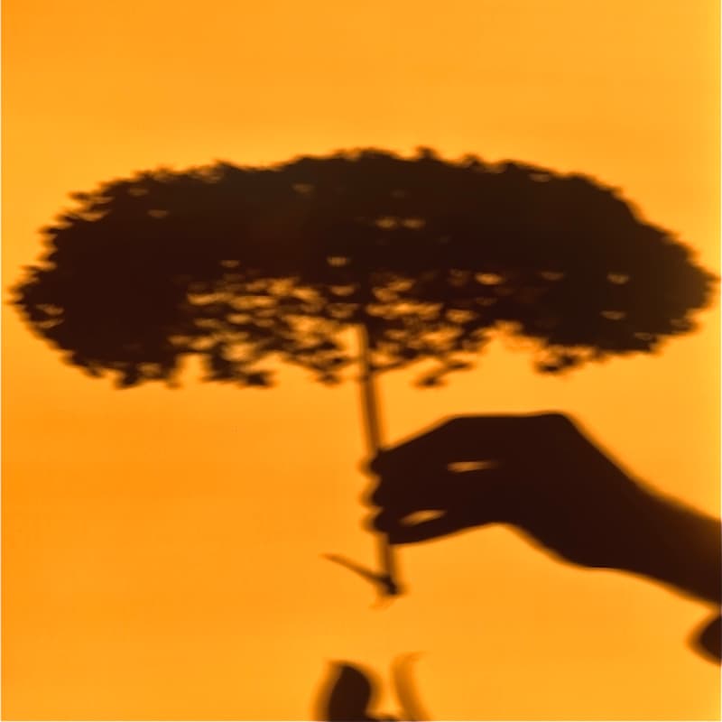 Cover Image for re-write you