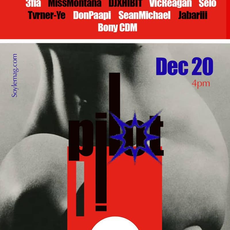 Cover Image for Pilot