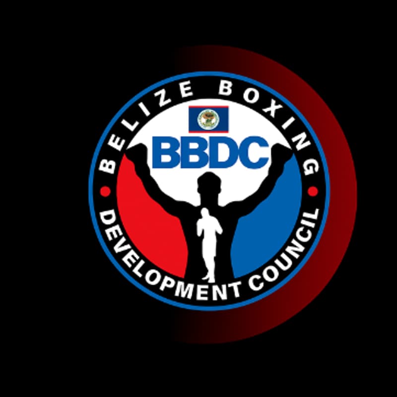 Cover Image for BBDC Summer Youth Boxing Program