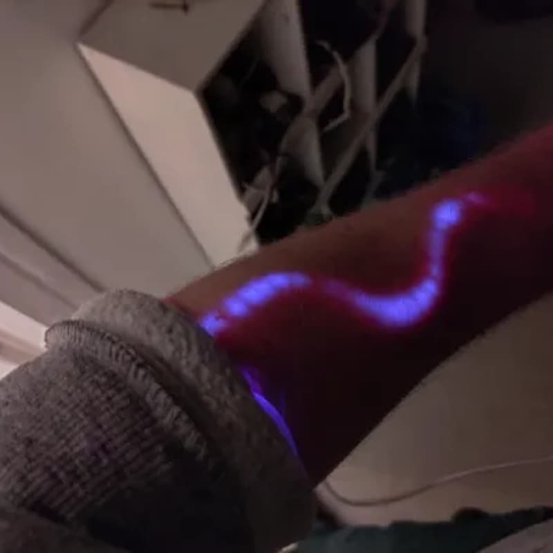 Cover Image for Anatomy and Physiology for Biohackers - Open Registration