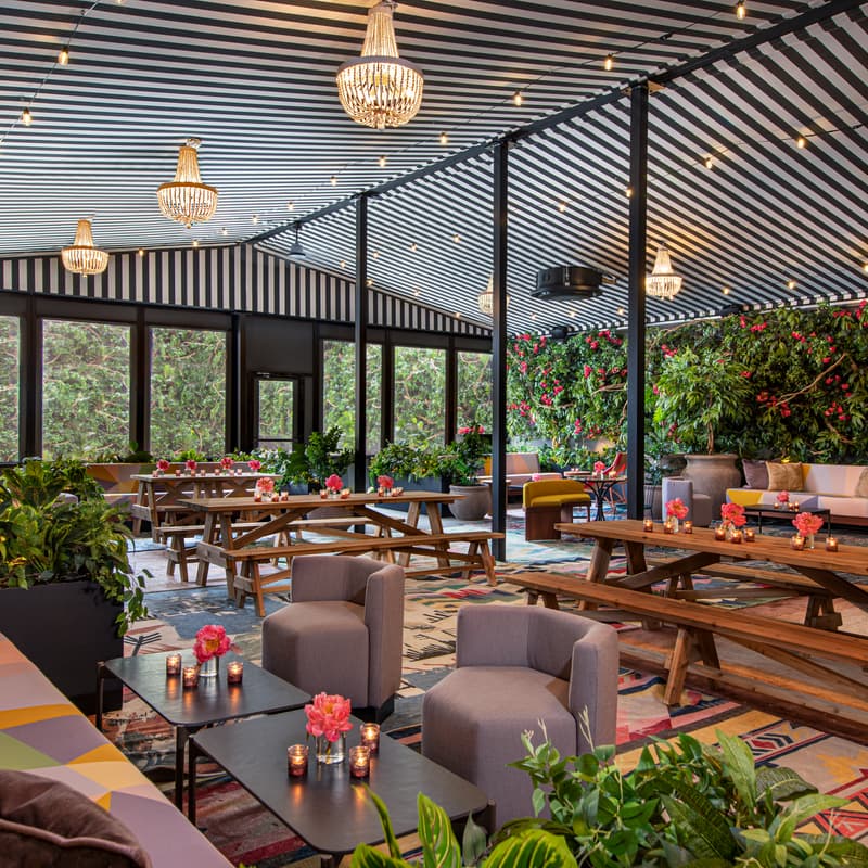Cover Image for Moxy Williamsburg Backgammon Night