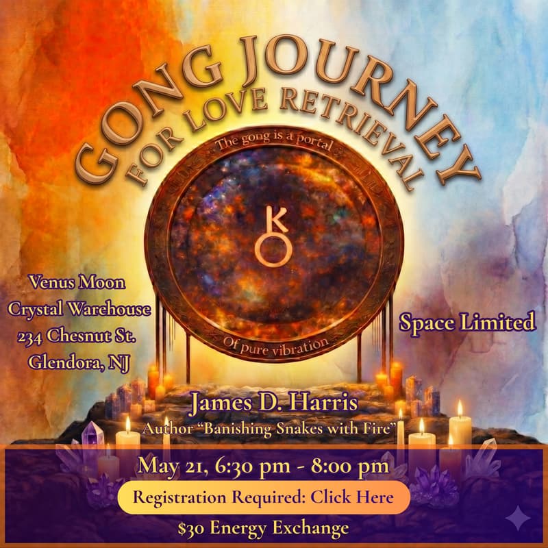 Cover Image for Gong Journey