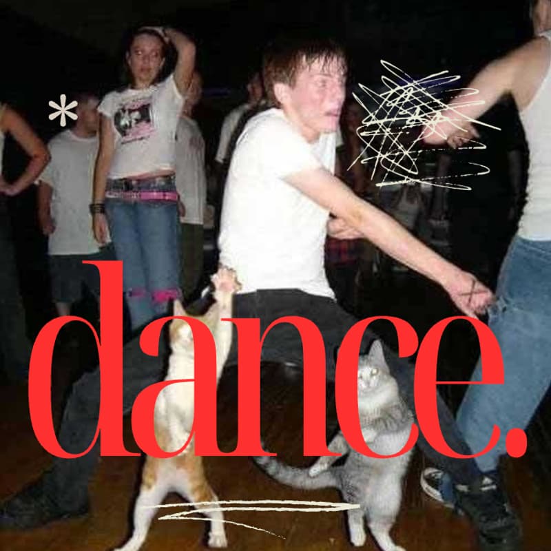 Cover Image for DANCE PARTYππππππ