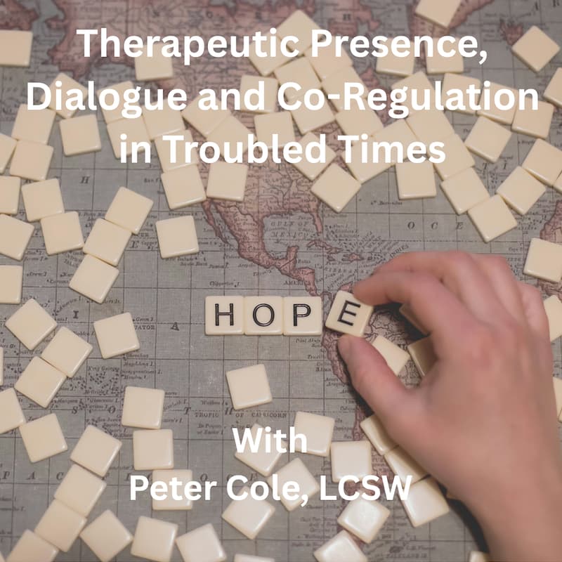 Cover Image for Therapeutic Presence, Dialogue and Co-Regulation in Troubled Times