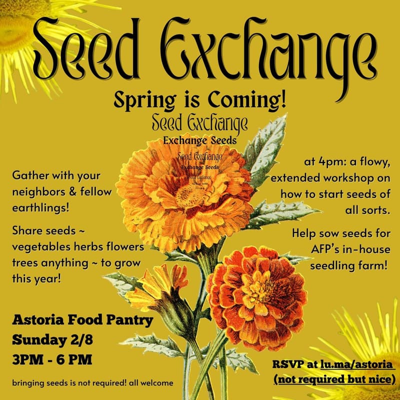Cover Image for Seed Exchange + Seed Starting Workshop