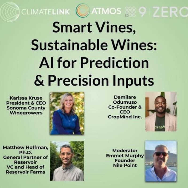 Cover Image for Smart Vines, Sustainable Wines: AI for Prediction & Precision Inputs