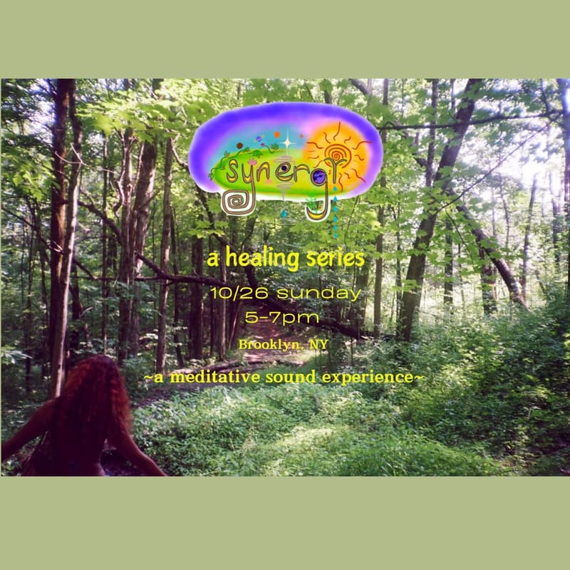 Cover Image for Synergy ~a healing series~