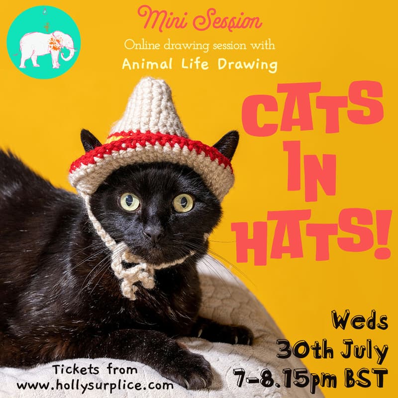 Cover Image for Cats in Hats Mini Drawing Session