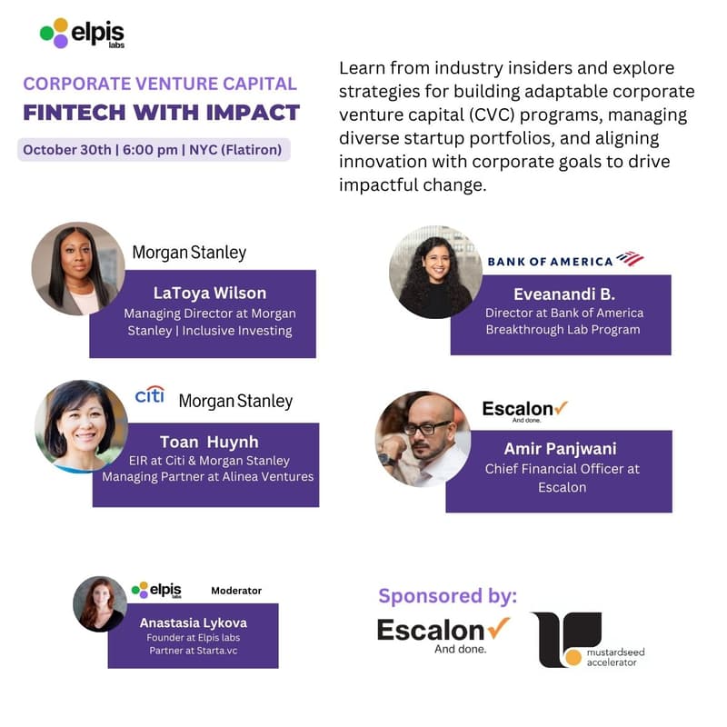Cover Image for Corporate Venture Capital Best Practices: Fintech with Impact