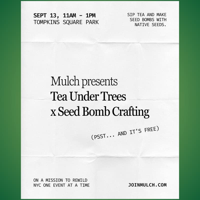 Cover Image for Tea Under Trees: Seed Bomb Crafting