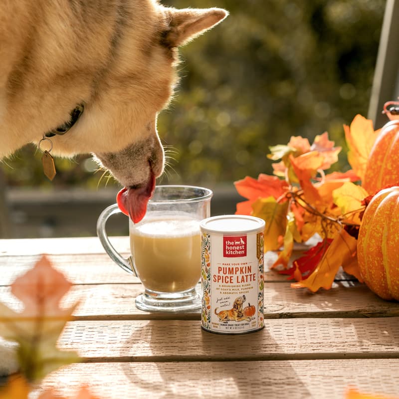 Cover Image for The Honest Kitchen's Pumpkin Spice Latte for Pups Sampling