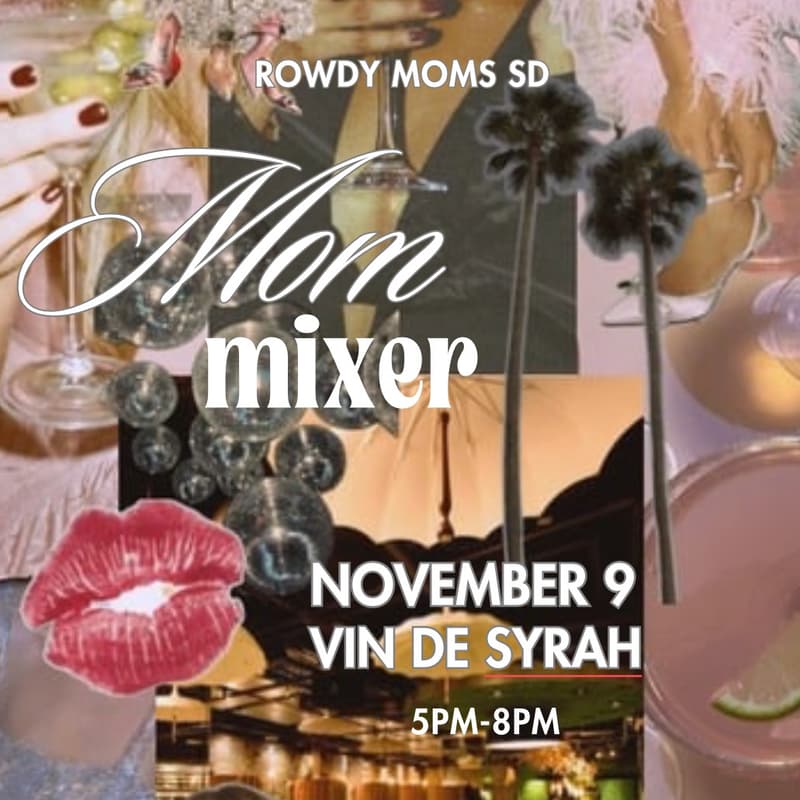 Cover Image for MOM MIXER Vin De Syrah