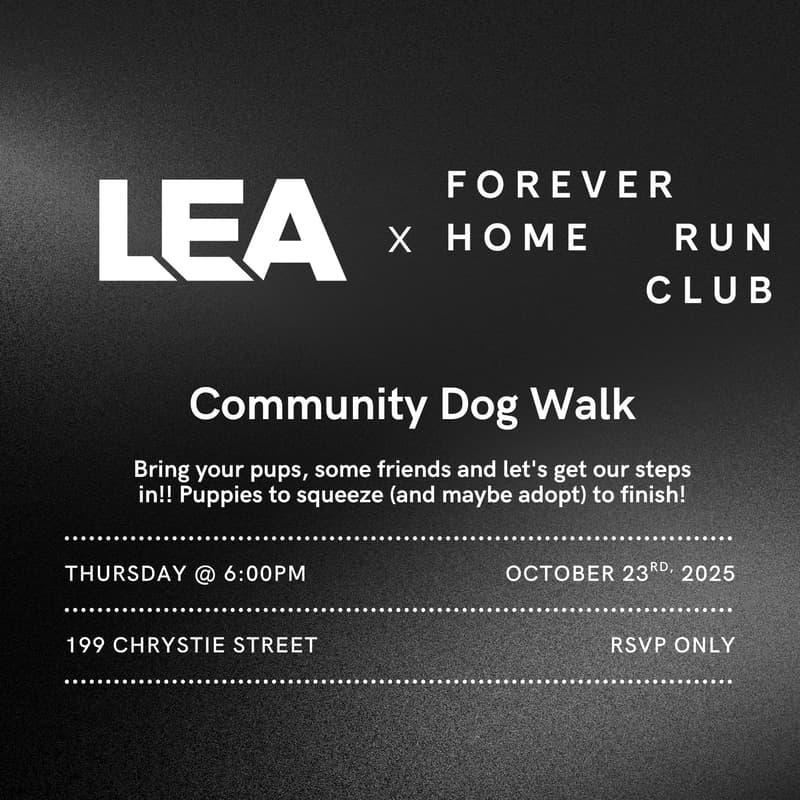 Cover Image for LEA Community Dog Walk