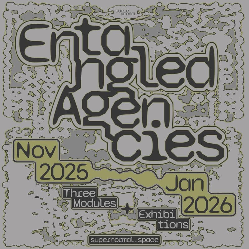 Cover Image for Entangled Agencies: Module #2 Generating and Generated - Artist Talk + Lecture