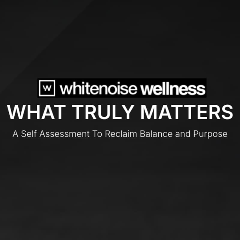 Cover Image for What Truly Matters: A Workshop to Reclaim Balance and Purpose