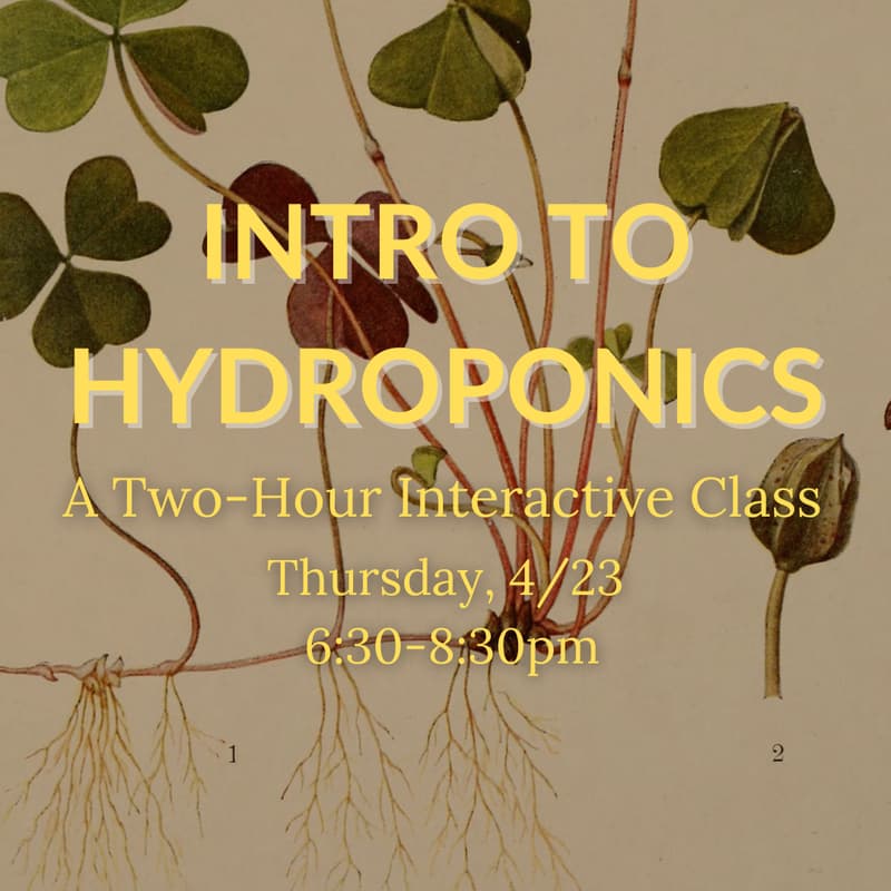 Cover Image for Intro to Hydroponics
