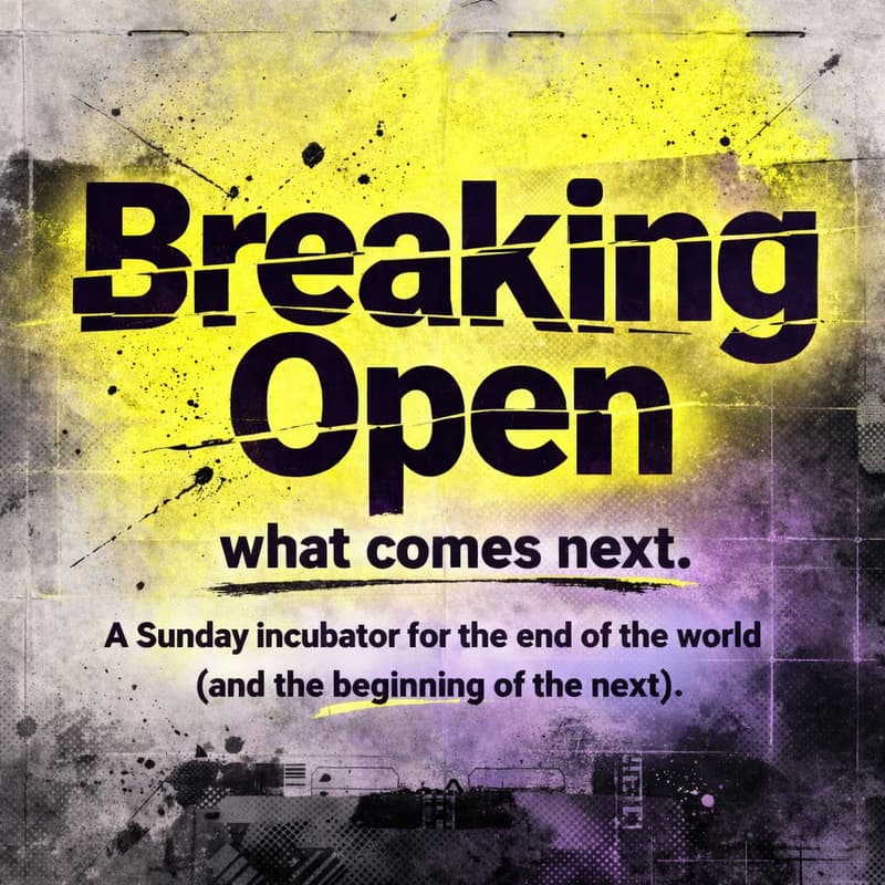 Cover Image for Breaking Open: an emergent reality series