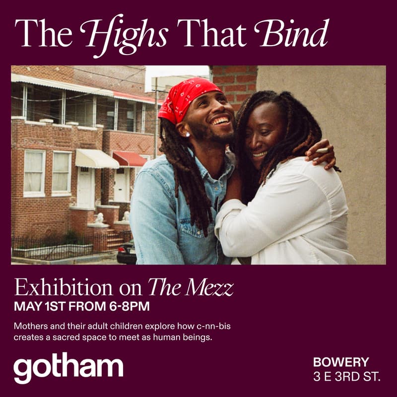 Cover Image for The Highs That Bind