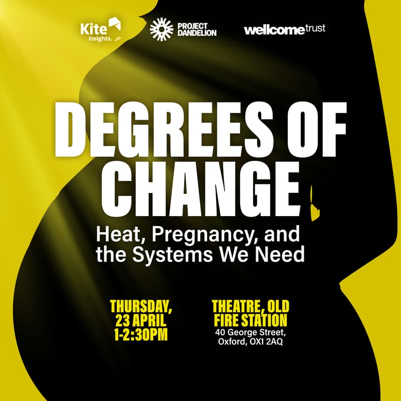 Cover Image for Degrees of change: heat, pregnancy, and the systems we need