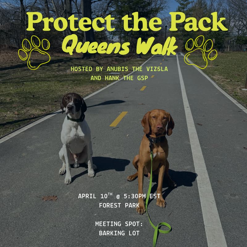Cover Image for Protect the Pack Queens NY Dog Walk