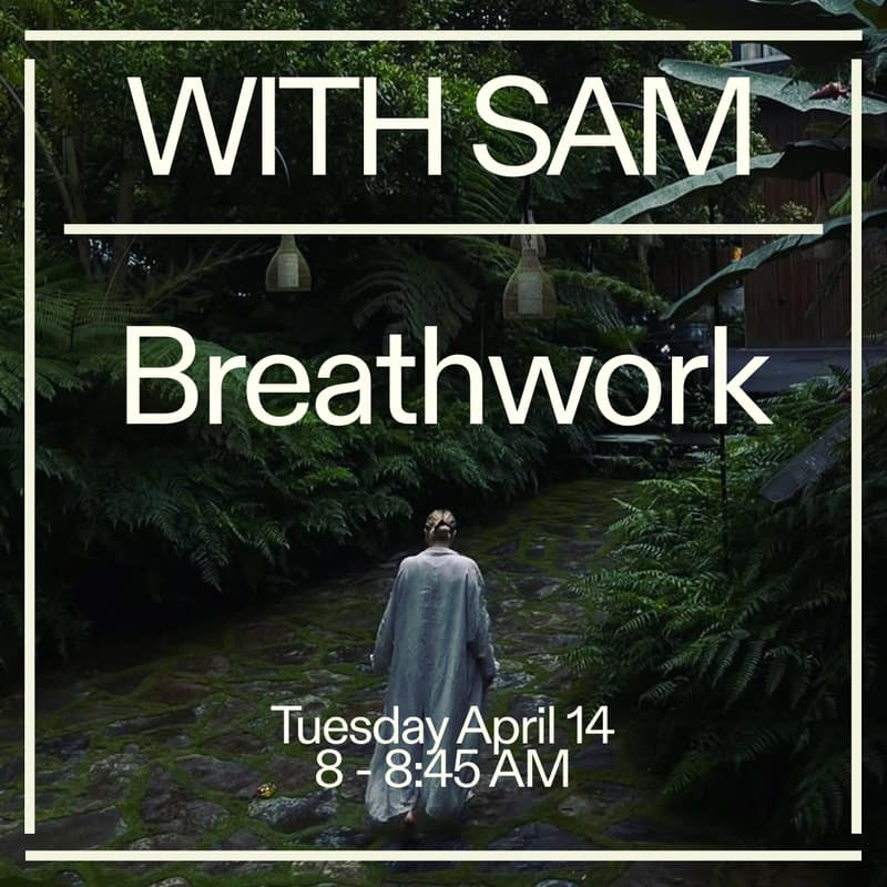Cover Image for Somatic Breathwork with Sam ✨