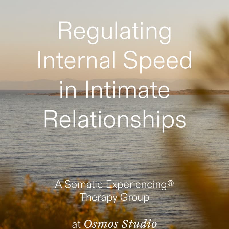 Cover Image for Regulatating Internal Speed in Intimate Relationships