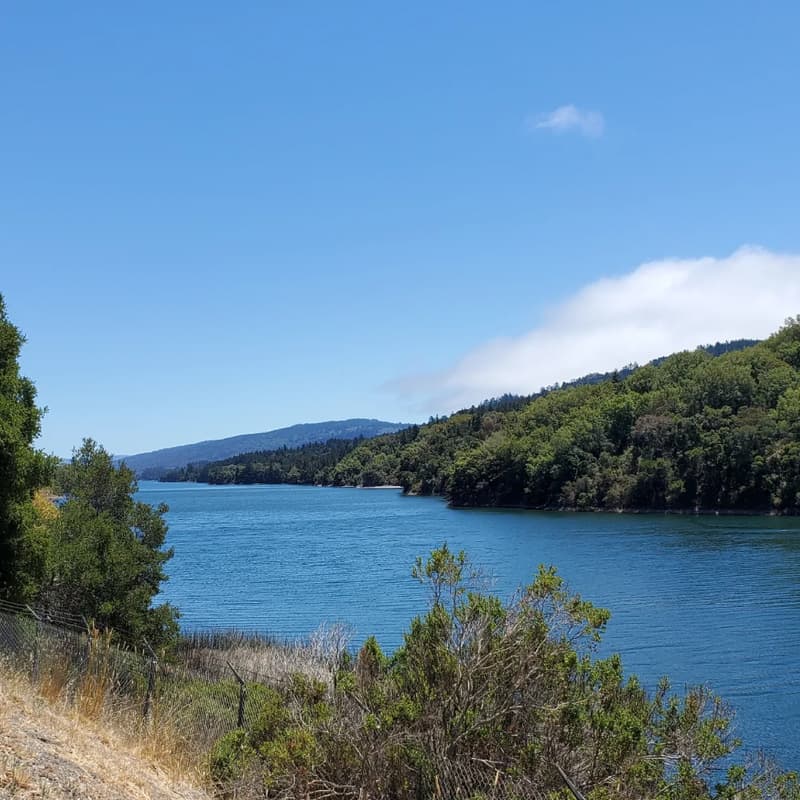 Cover Image for Canadians in the Bay—Come Hike With Us!