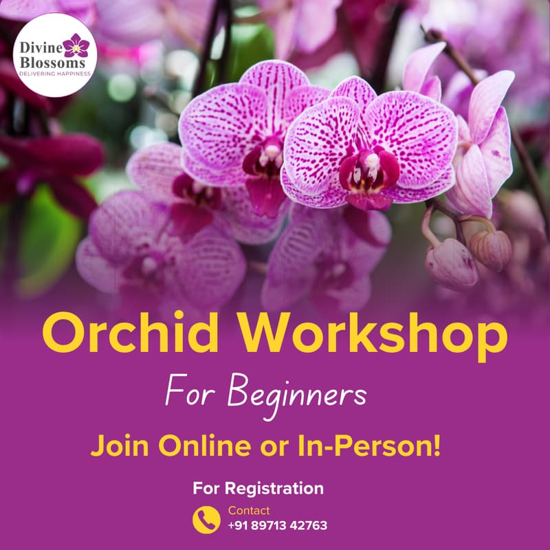 Cover Image for Learn to Grow Orchids — A Workshop for Beginners