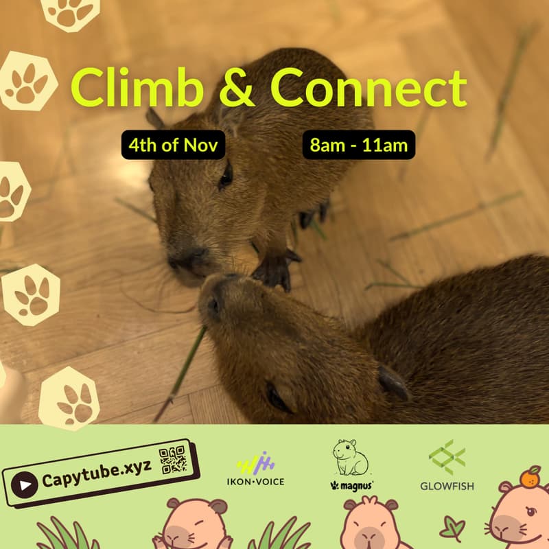 Cover Image for Capy-climb and connect